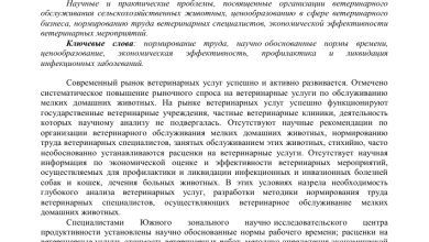 Photo of «Храбрость и честь»