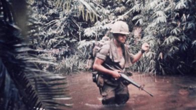 Photo of «Война в джунглях»