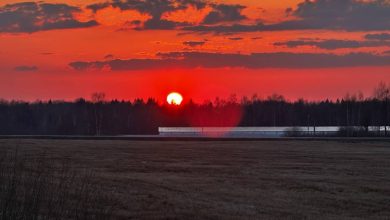 Photo of «Кровавый закат»